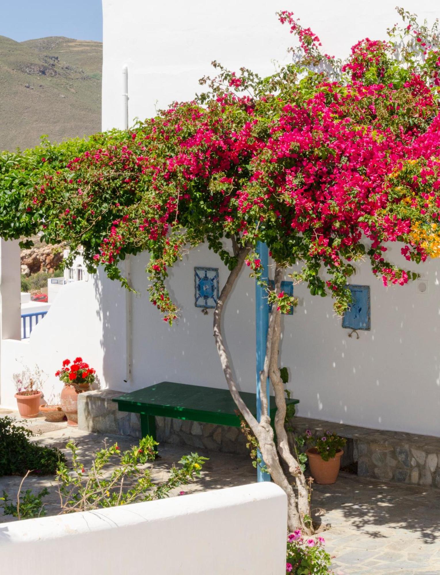 Отель Provarma Astypalaia Экстерьер фото